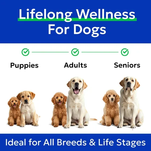 Vista 7 de Omega 3 + Aceite de pescado para perros - Apoyo para la piel y el pelaje