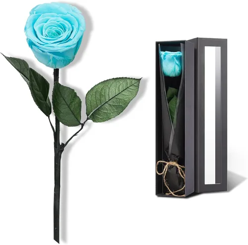 Vista 14 de Flores para Entrega Prime, Rosas Preservadas Regalos de Flores para Mujeres, Rosas Reales Regalos de Rosa Individual para Ella, Regalos