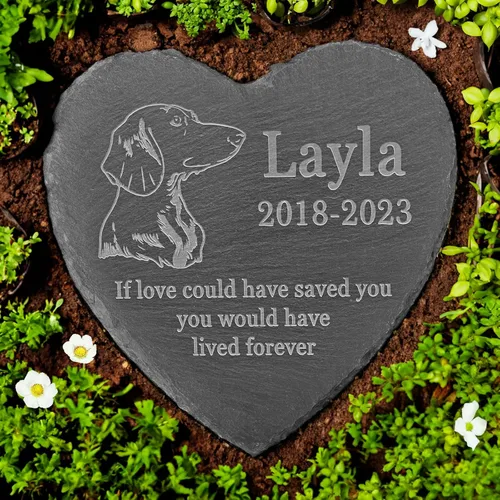 Vista 20 de Memorial personalizado de American Staffordshire Terrier, lápida de American Staffordshire Terrier, condolencias por pérdida de American