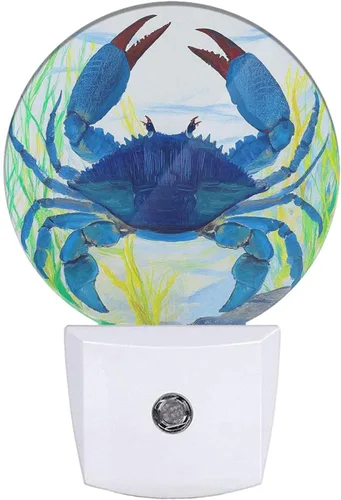 Vista 12 de LEDLAMP3016 - Luz nocturna enchufable para Acción de Gracias, cosecha, gato, gato, divertido, calabaza, enchufable, luz nocturna de Multicolor35