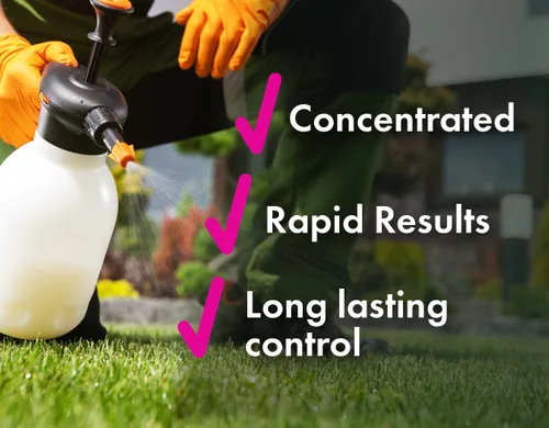 Vista 5 de Pro Crabgrass & Grassy Weed Killer - 18.92% Quinclorac (comparado con Drive XLR8) - Herbicida concentrado de pasto cangrejo profesional - Secado