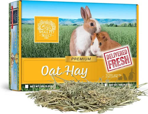 Vista 9 de Small Pet Select Alimento para mascotas con heno de avena, 10 libras.