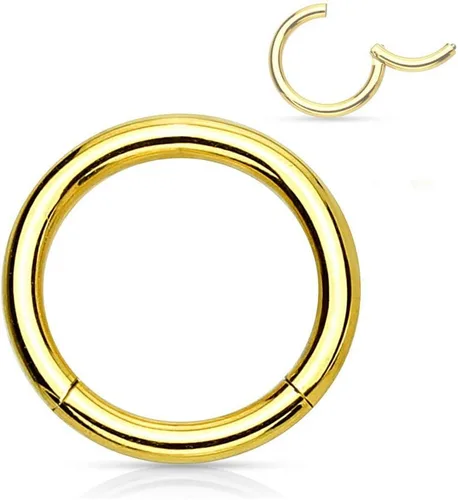 Vista 75 de Forbidden Body Jewelry - Piercing para la nariz de acero quirúrgico 316L con bisagra, 14G, 16G, 18G, diámetro de 15/64, 5/16, 25/64, 15/32 pulgadas