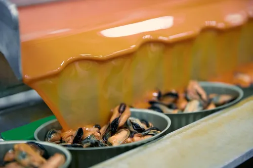 Vista 4 de Matiz Mejillones españoles en aceite de oliva virgen extra y vinagre de sidra de manzana 3.92 oz - 1 paquete Hecho a mano en Galicia, España