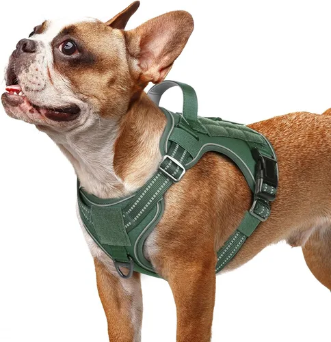 Vista 27 de rabbitgoo - Arnés para perros pequeño sin tirones, chaleco táctico de servicio con Molle y asa de control, arnés militar ajustable y reflectante