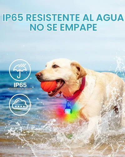 Vista 4 de Paquete de 2 luces para collar de perro, luces para perros para caminar por la noche, 4 modos, luz impermeable para perros con clip recargable