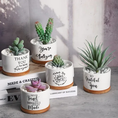 Vista 3 de Yaomiao 20 piezas de regalo de la semana de CNA, regalos de agradecimiento a los empleados, regalos de plantas suculentas a granel para mujeres