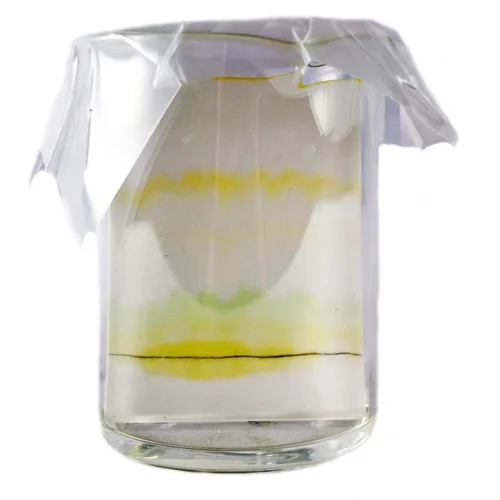 Vista 2 de ALDON Kit de cromatografía científica innovadora de pigmentos vegetales