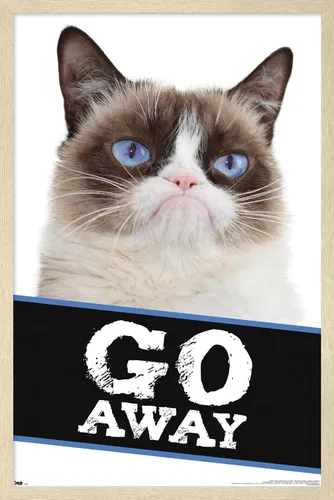 Vista 6 de Trends International Grumpy Cat - Póster de pared con texto en inglés «Go Away», 14.725 x 22.375 pulgadas, versión enmarcada de madera de granero