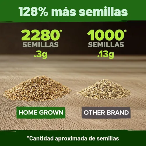 Vista 3 de HOME GROWN Semillas de Manzanilla Alemana, 2.280 Semillas, Matricaria