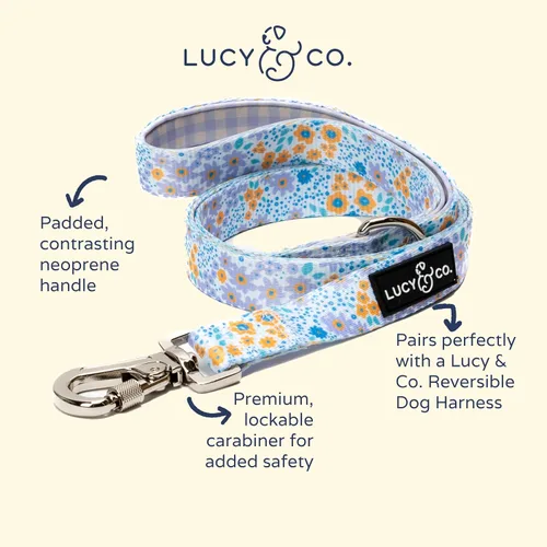 Vista 2 de Correa para perros de diseño Lucy & Co. - Accesorios para mascotas - Correa gruesa para perros - Asa acolchada para mayor comodidad - Entre