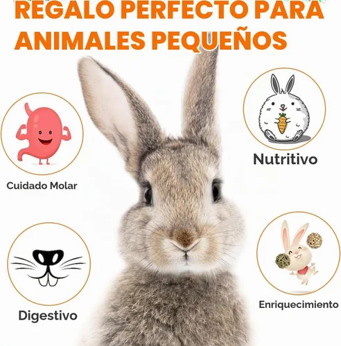 Vista 4 de Sofier Timothy Heno Treats - 16 golosinas masticables naturales para dientes hechos a mano para conejo, chinchilla, jerbo, rata, hámster juguetes
