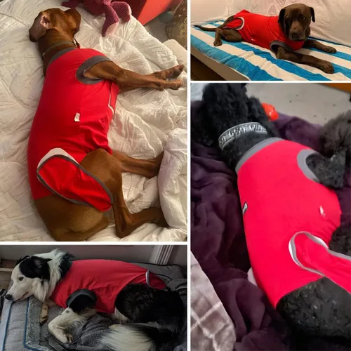 Vista 4 de Traje de recuperación para perros Red L - Alternativa de cono después de la cirugía para perros hembras y machos