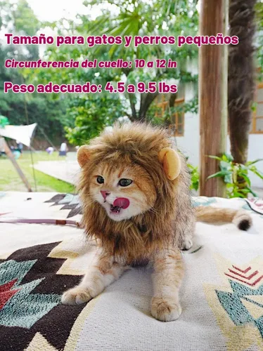 Vista 8 de Peluca para disfraz de gatos y perros Lion Mane, ajustable, lavable y cómoda, ropa de perro para Halloween, Navidad o Pascua , m, Gris