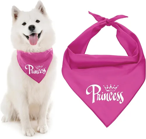 Vista 23 de Parisian Pet Bandanas naranjas para perros – Bandana ajustable para cachorros – Accesorios para perros para niños y niñas – Pañuelo para perros Best