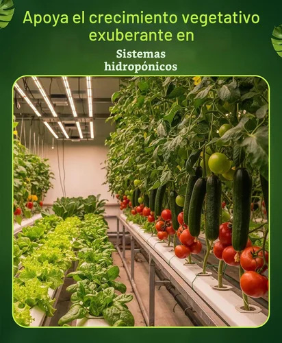 Vista 4 de Hydrofarm FX14094 Grow Big Hydro - Concentrado de alimento para plantas, 1 pinta., 1
