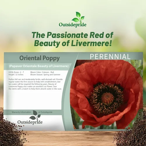 Vista 5 de Outsidepride Orientale Beauty of Livermere - Semillas de amapola para plantar, 500 piezas de semillas de flores silvestres perennes, tolerantes a