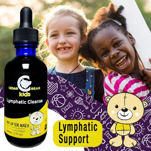Vista 2 de Cedar Bear - Limpieza linfática para niños, suplemento herbario líquido que apoya la función linfática e inmune saludable, 2 onzas líquidas