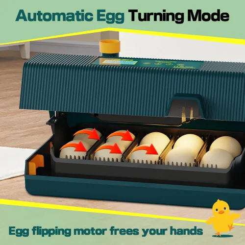 Vista 3 de HOWOOIUA - Incubadora automática de 10 huevos para incubar pollos con intervalo de giro de huevos, se puede configurar con pantalla digital e