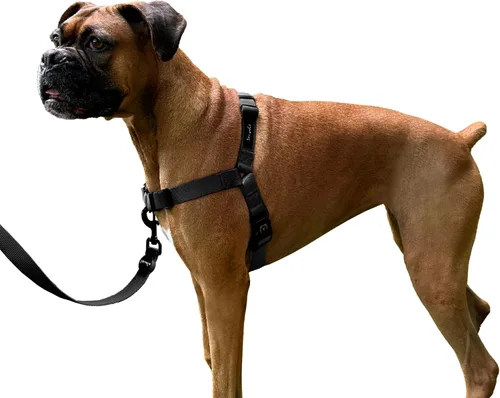 Vista 16 de ShawnCo Dream Walk Arnés para Perros Sin Tirones - Ajustable, Cómodo, Fácil de Usar, Cabestro para Mascotas para Ayudar a Detener los Tirones