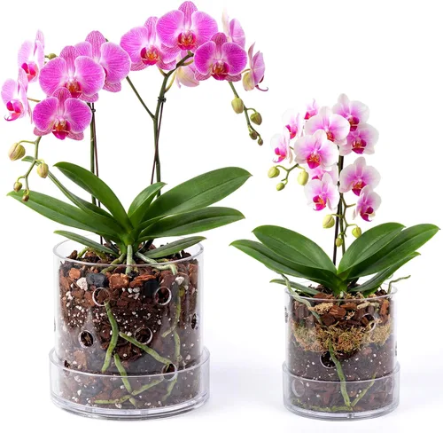 Vista 14 de Maceta de orquídea acrílica transparente de 4 pulgadas con agujeros redondos de 360° y bandeja
