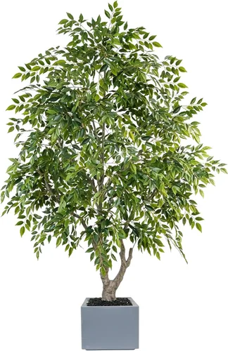 Vista 11 de Árbol de ficus artificial de 6 pies con troncos de madera real, árbol de Árbol de ficus tipo 4-6ft