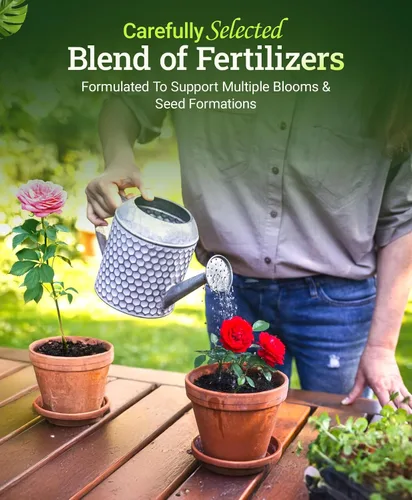 Vista 4 de FoxFarm - Alimento para plantas Big Bloom, concentrado de fertilizante líquido para flores, frutas y verduras, fertilizante vegetal multiusos