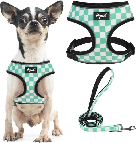 Vista 88 de PUPTECK Juego de arnés y correa de malla suave para perro, cachorro y gato, cómodo chaleco acolchado sin tirones, azul Pascua, S