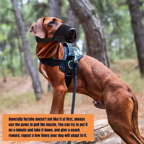 Vista 5 de Lxnoap Bozal rápido negro para perros pequeños, ajustable, potable, cómodo, transpirable, para morder, ladrar, masticar, talla S