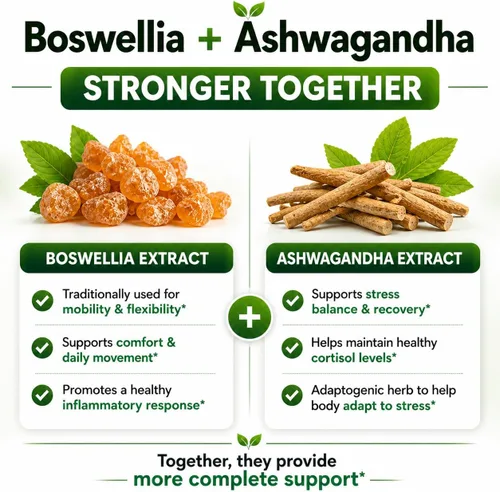 Vista 6 de Extracto de Boswellia 65% ácido boswélico y cápsulas de Ashwagandha – Píldoras de apoyo natural fuerte suministro para 3 meses – Boswellia Serrata