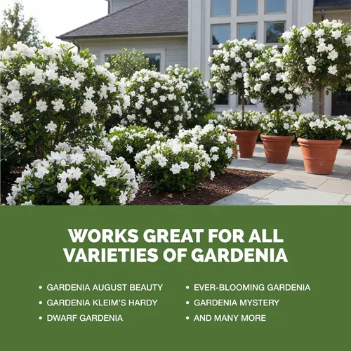 Vista 5 de Fertilizante Gardenia: alimento líquido para plantas para más flores, hojas verdes ricas y desarrollo de raíces más fuerte, 8 onzas