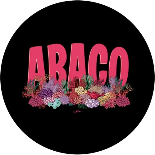 Vista 3 de JCombs: Islas Abaco, Bahamas, Arrecife de coral, Playa PopSockets PopGrip intercambiables