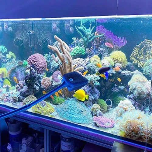 Vista 2 de 3 cepillos de limpieza de algas de acuario AOODOOM de doble cara con mango antideslizante, limpiador de esponja para acuarios de vidrio y cocina