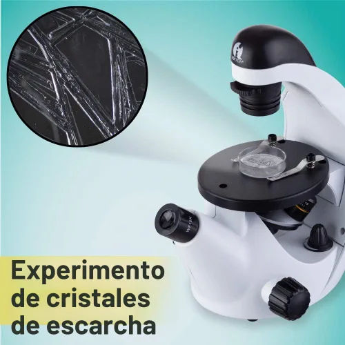 Vista 4 de Microscopio invertido AmScope IN50 iQcrew 40X-200X para niños