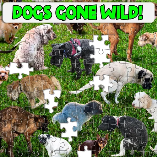 Vista 6 de Funwares Rompecabezas Original de 101 Cachorros – Rompecabezas Divertido de Perros de 500 Piezas – Regalo Divertido para Amantes de los Perros