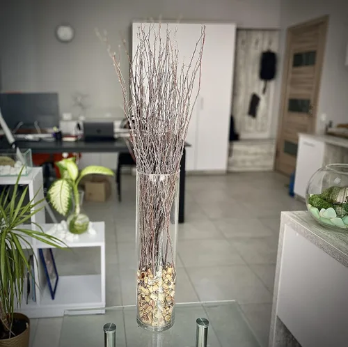 Vista 8 de ECOVENIK 25 piezas – Ramas – 28.7 in, ramitas de abedul natural, paquete de 20-25 tallos, largo para jarrones de suelo, (color marrón natural)