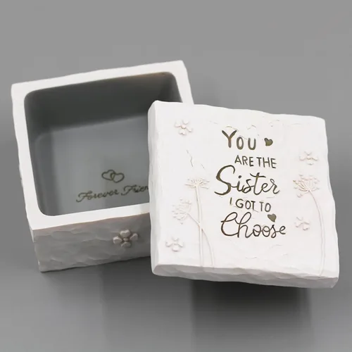 Vista 3 de BORLESTA Regalos para amigas – Regalos para amigas para mujeres, regalos de Navidad para amigos – You're the Sister I Got to Choose – Regalos