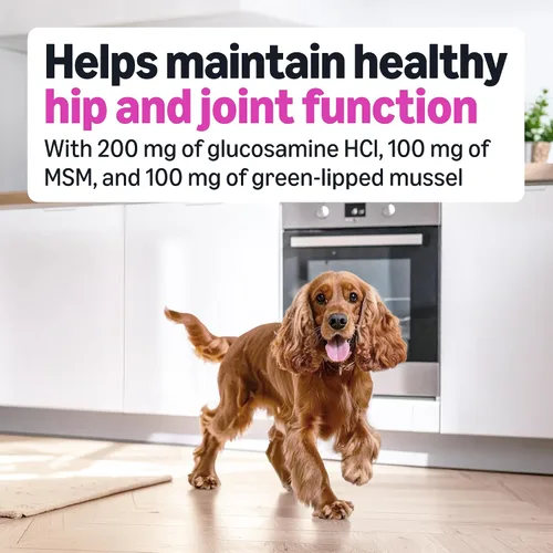 Vista 3 de Amazon Basics Suplemento diario masticable para cadera y articulaciones para perros con glucosamina, MSM y vitamina C, sabor a pato, 60