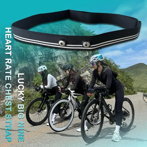 Vista 5 de Correa de repuesto para monitor de frecuencia cardíaca compatible con Polar Garmin Tickr Wahoo Coospo - Reemplazo de la correa del monitor