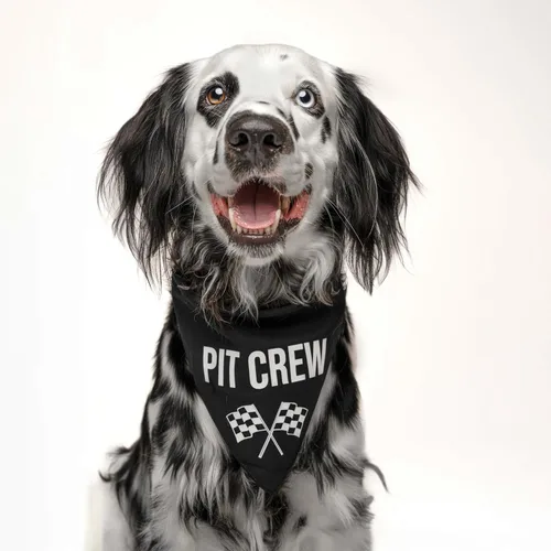 Vista 2 de Pit Crew Bandana para perro Triángulo 100% algodón Fabricado en Estados Unidos Pawty de cumpleaños tema de fiesta Carreras de coches