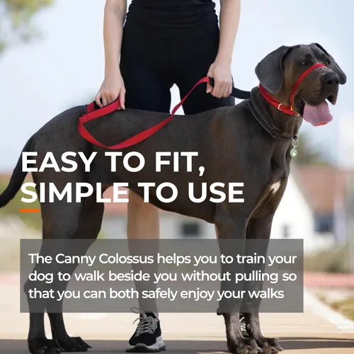 Vista 6 de Canny Colossus - Collar de cabeza de perro sin tirones Ayuda de entrenamiento suave y humanitario para perros de razas grandes y gigantes