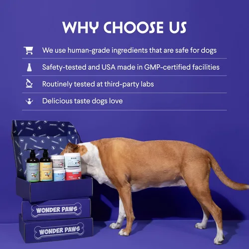 Vista 7 de WONDER PAWS Glucosamina líquida prémium para perros, apoyo articular de fuerza, flexibilidad, cartílago y movilidad, suplemento de cadera
