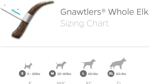 Vista 6 de Gnawtlers - Cornamenta de alce de primera calidad para perros, cuernos desprendidos naturalmente, para masticar, especialmente seleccionada