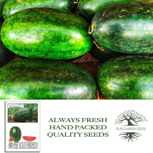 Vista 4 de Cal Sweet Supreme - Semillas de sandía (Citrullus lanatus, tipo Icebox) – Más de 125 semillas sin OMG y reliquias de Isla's Garden Seeds, carne roja