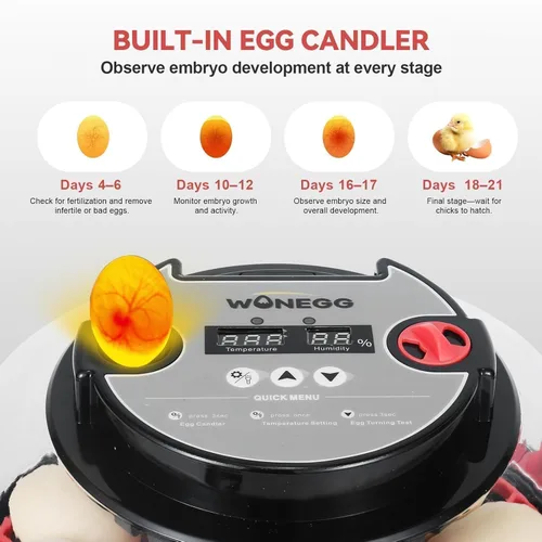 Vista 4 de Gen II - Incubadora automática de 12 huevos, humedad de dos etapas con recarga automática y control de temperatura estable, giro automático