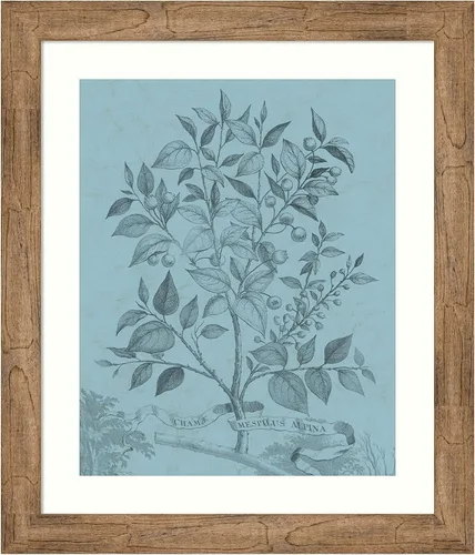 Vista 16 de Amanti Art Vision Studio - Póster enmarcado de 24 x 20 pulgadas, diseño botánico en V verde azulado por Vision Studio, arte de pared de naturaleza