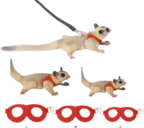 Vista 9 de MANON ROSA Sugar Glider - Juego de arnés y correa, chaleco ajustable de 3 piezas a prueba de escapes para ardillas, ratas, ratones, ratones