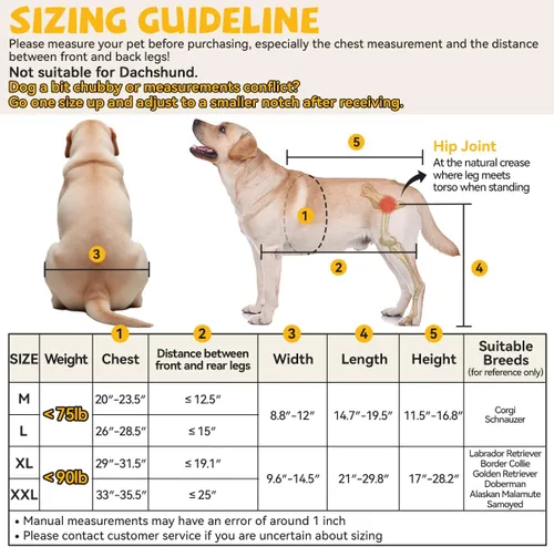 Vista 3 de Silla de ruedas para perros para patas traseras, silla de ruedas para perros pequeños a medianos, carritos ajustables para perros con ruedas