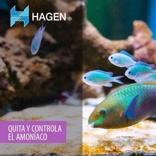 Vista 2 de Aqua Clear AquaClear 20 Insertos para remover amoníaco, medios de repuesto para filtro de acuario, A596