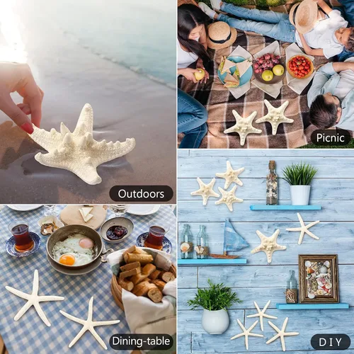 Vista 6 de 12 piezas de estrellas de mar Decoración de estrellas de mar de 2.5 a 6 pulgadas Conchas naturales de estrella de mar a granel perfectas